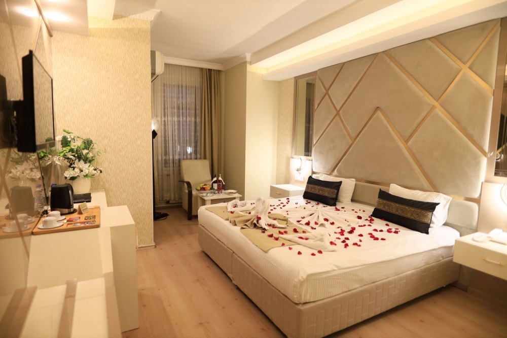 Altınöz Hotel French Room
